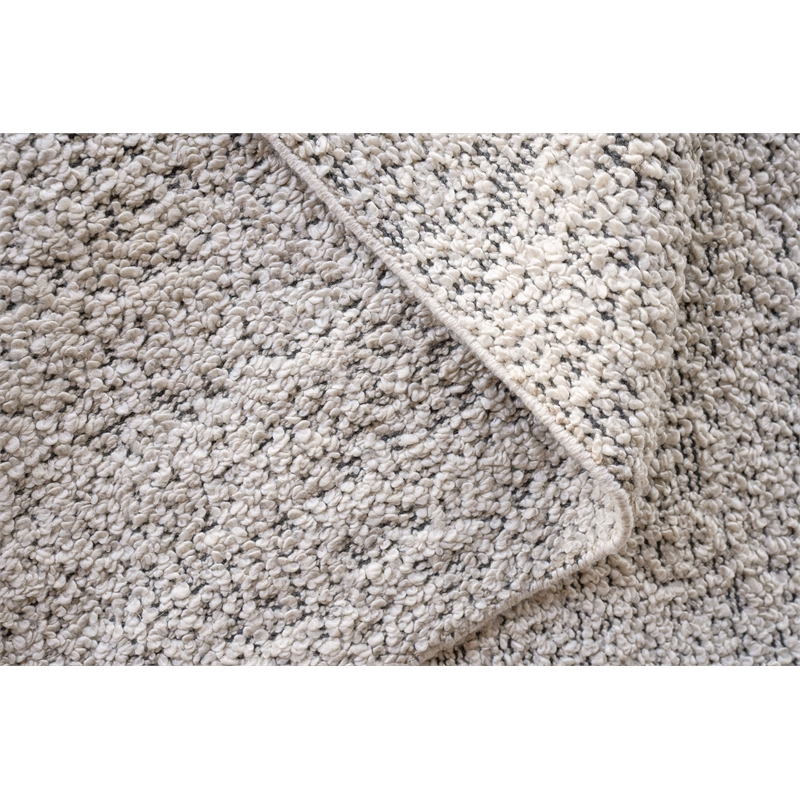 Morello Handloomed Pet Ivory/Dark Gray 6'x9' Area Rug