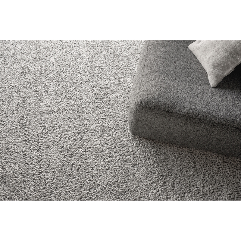 Morello Handloomed Pet Ivory/Dark Gray 6'x9' Area Rug