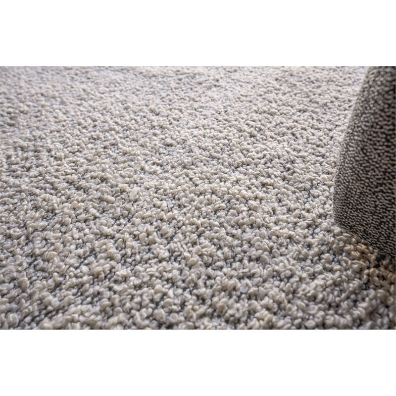 Morello Handloomed Pet Ivory/Dark Gray 4'x6' Area Rug