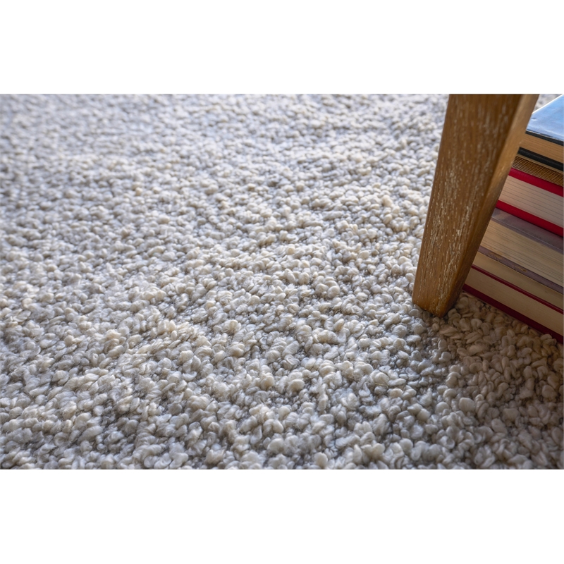 Morello Handloomed Pet Ivory/Gray 14'x18' Area Rug