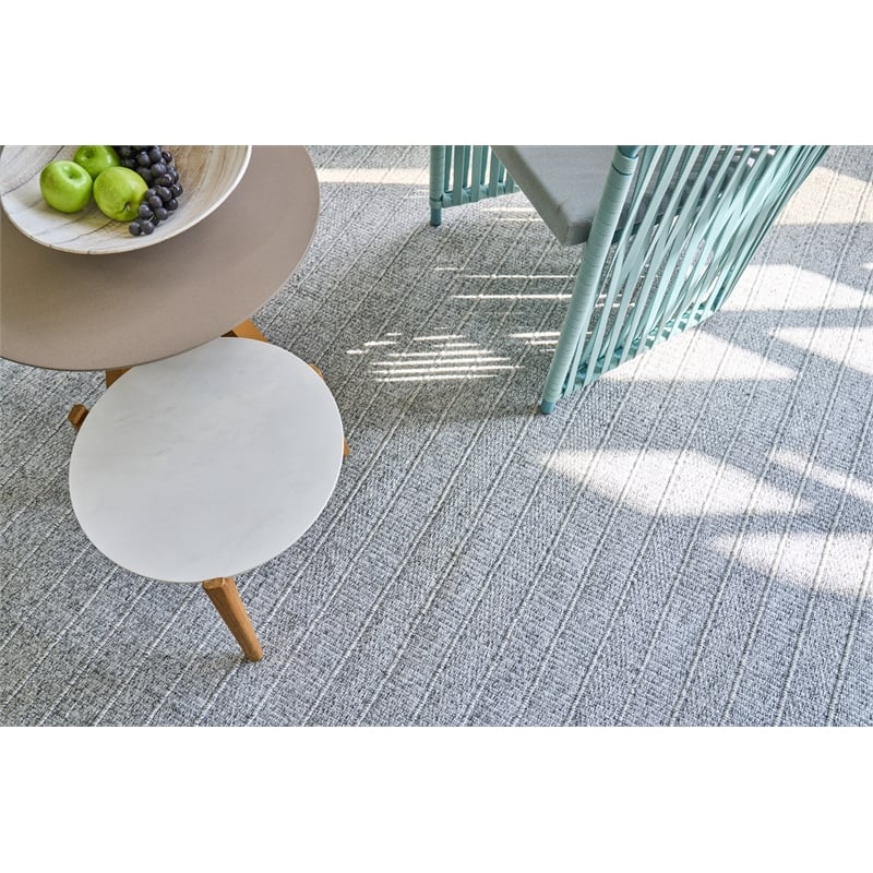 Nova Flatweave Pet Gray 2'x3' Area Rug
