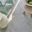 Nova Flatweave Pet Gray 2'x3' Area Rug