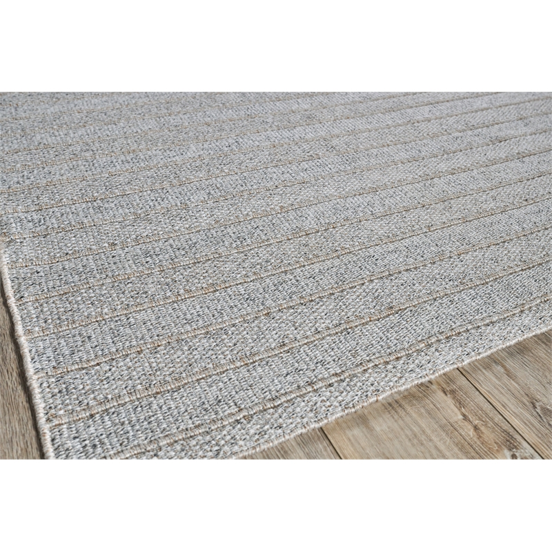 Flatweave Pet Natural Beige 2'x3' Area Rug