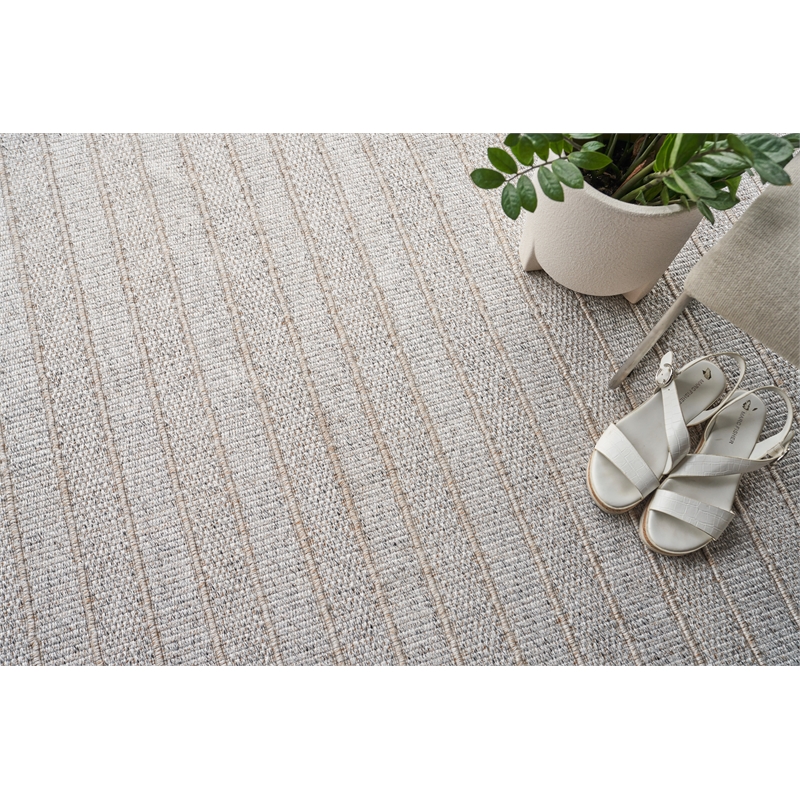 Flatweave Pet Natural Beige 2'x3' Area Rug