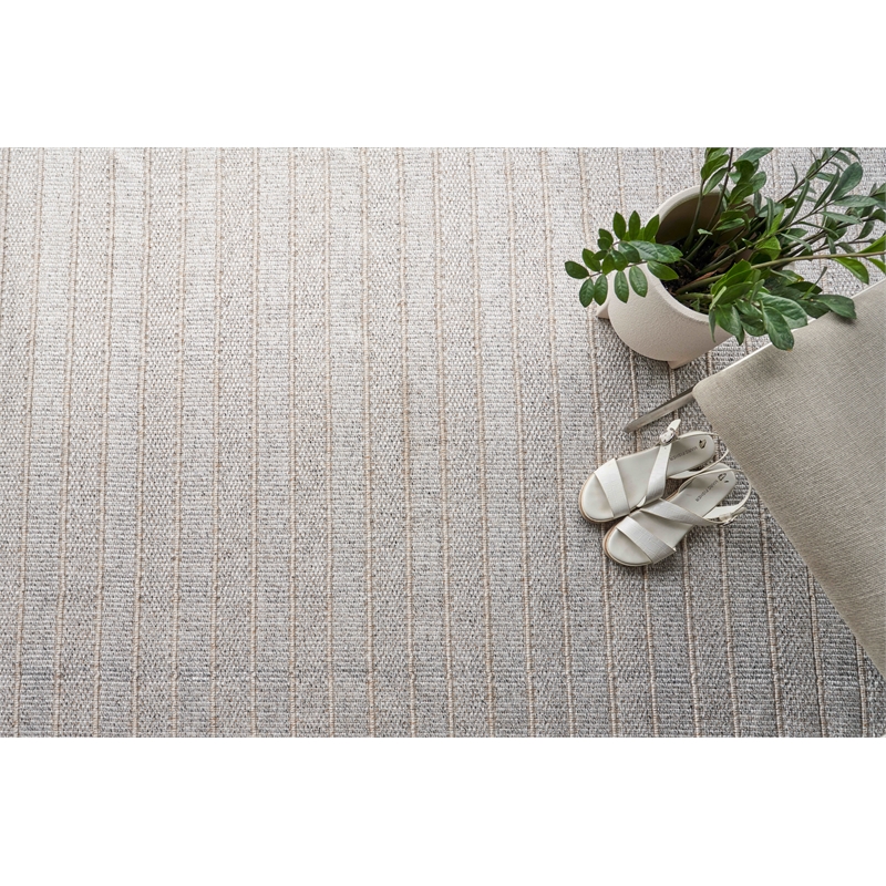 Flatweave Pet Natural Beige 2'x3' Area Rug