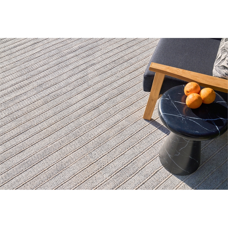 Flatweave Pet Natural Beige 2'x3' Area Rug
