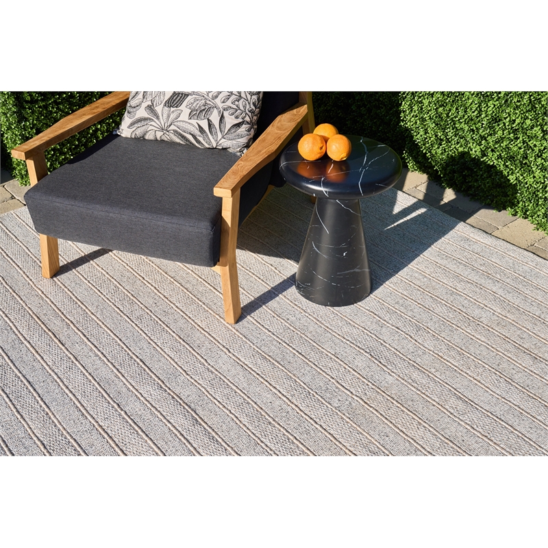 Flatweave Pet Natural Beige 2'x3' Area Rug