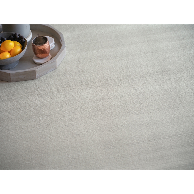 Pavia Modern Handloomed Silky Nylon Light Silver 4'x6' Area Rug