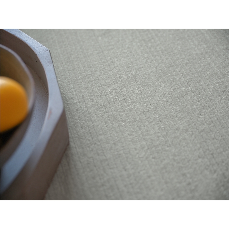 Pavia Modern Handloomed Silky Nylon Light Silver 4'x6' Area Rug