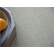 Pavia Modern Handloomed Silky Nylon Light Silver 4'x6' Area Rug