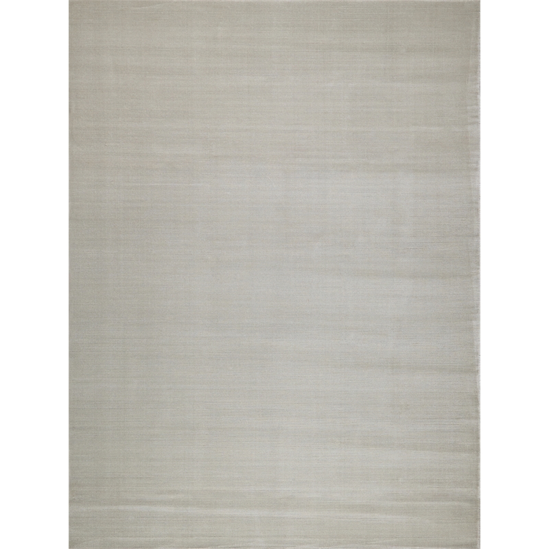 Pavia Modern Handloomed Silky Nylon Light Silver 4'x6' Area Rug