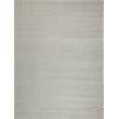Pavia Modern Handloomed Silky Nylon Light Silver 8'x10' Area Rug