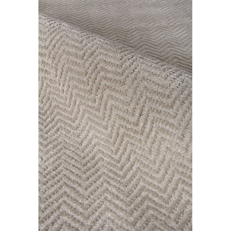 Pavo Handloomed Tencel Light Silver 10'x14' Area Rug