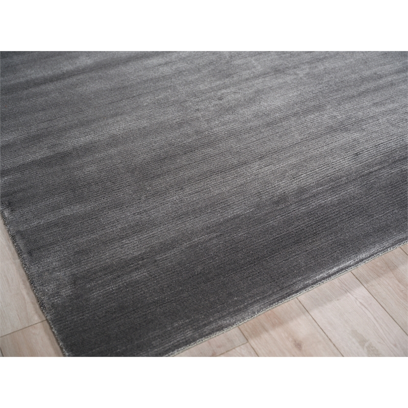 Pavia Modern Handloomed Silky Nylon Gray 4'x6' Area Rug