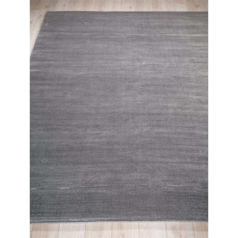 Pavia Modern Handloomed Silky Nylon Gray 4'x6' Area Rug
