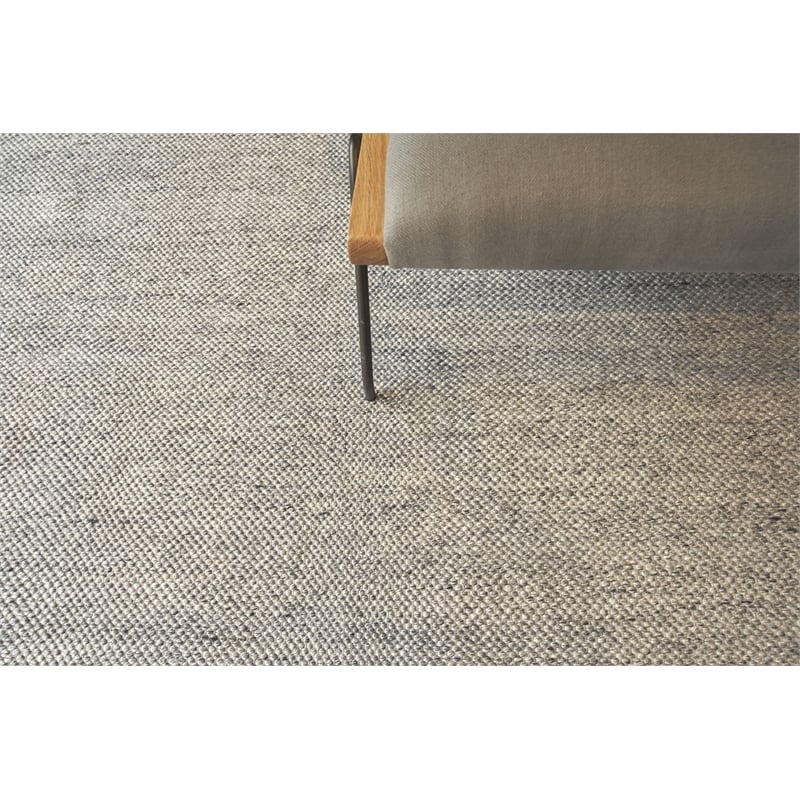 Rhodes Handloomed Pet Beige 9'x12' Area Rug