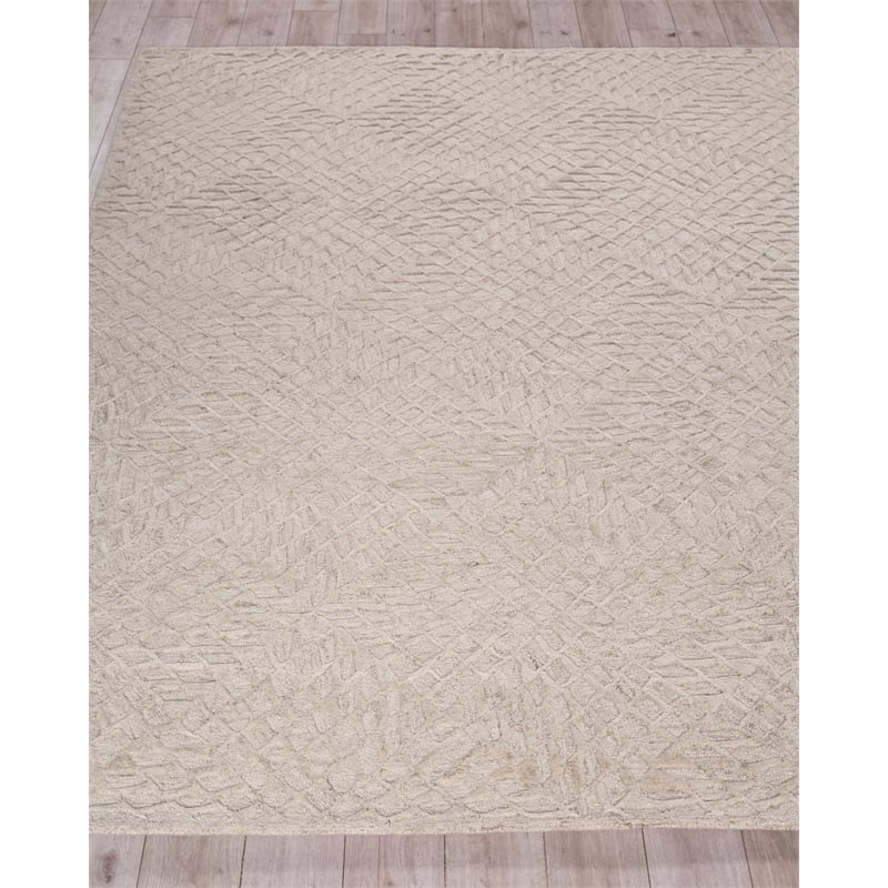 Sandro Hand-Tufted New Zealand Wool Silver 12'x15' Area Rug