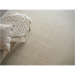 Velutto Modern Handloomed Silky Nylon Light Beige 4'x6' Area Rug