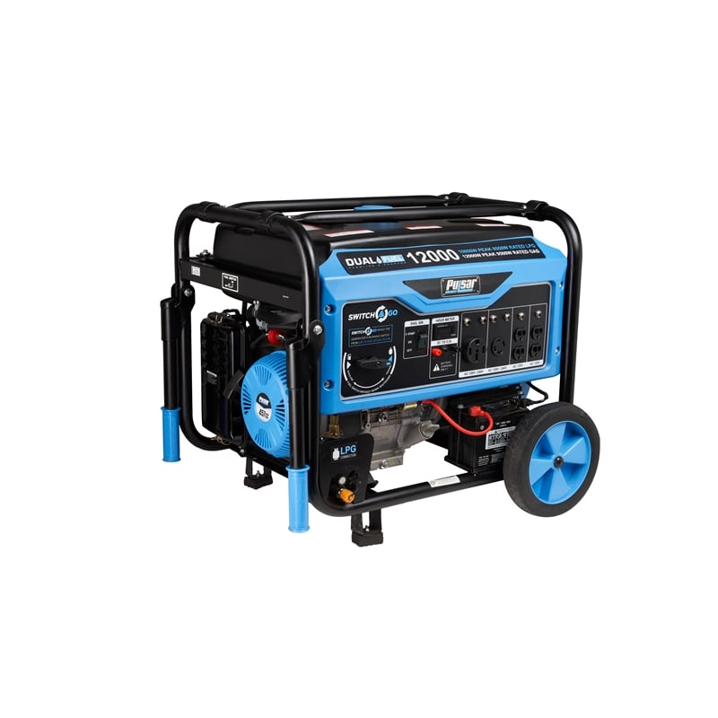 Pulsar 12000W Dual Fuel Portable Generator with Electric Start in Black