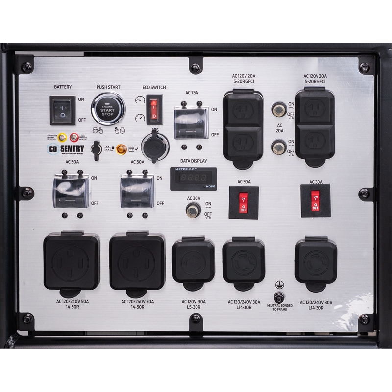 Ford 28000 Watt Tri-Fuel Portable Generator with Remote Start in Blue