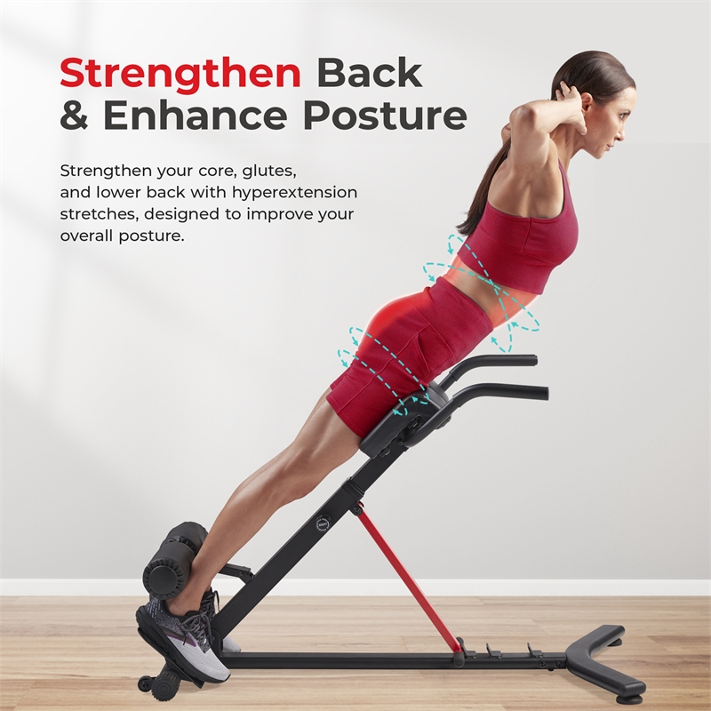 Sunny Health & Fitness Hyperextension Roman Chair w/ Dip Station in Black