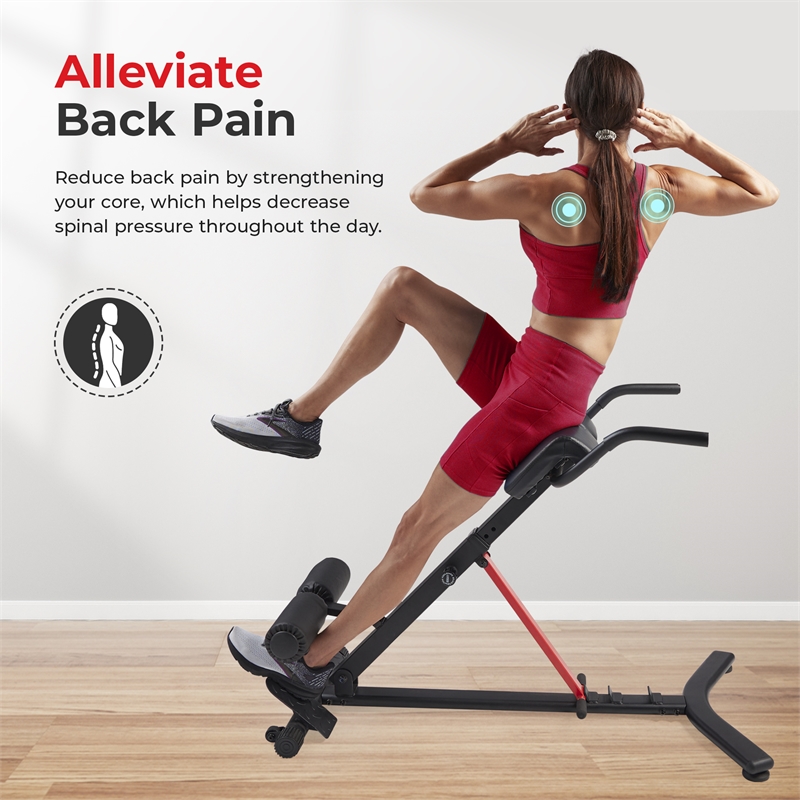 Sunny Health & Fitness Hyperextension Roman Chair w/ Dip Station in Black