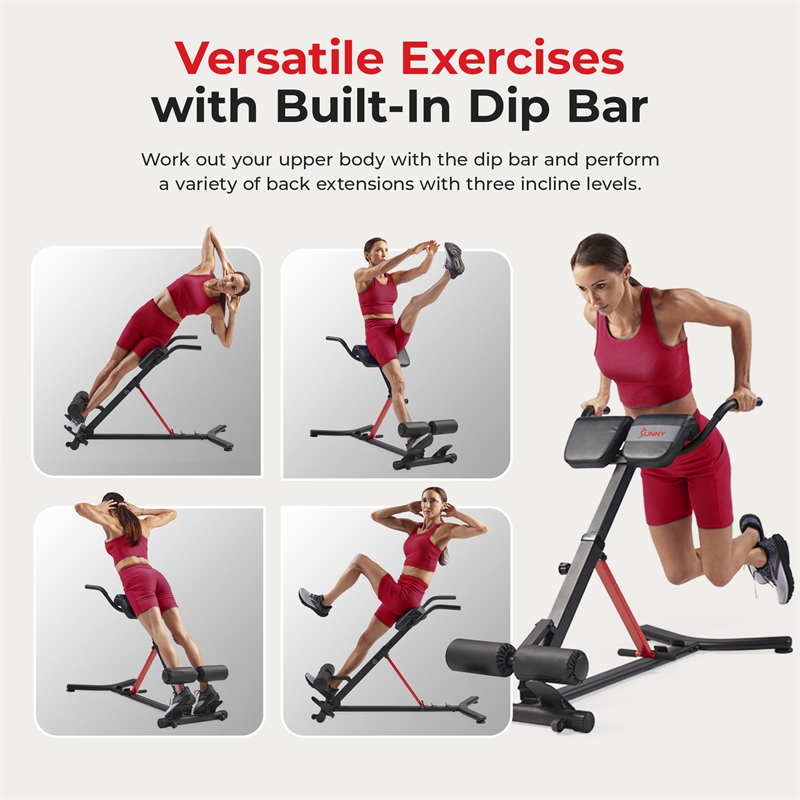 Sunny Health & Fitness Hyperextension Roman Chair w/ Dip Station in Black