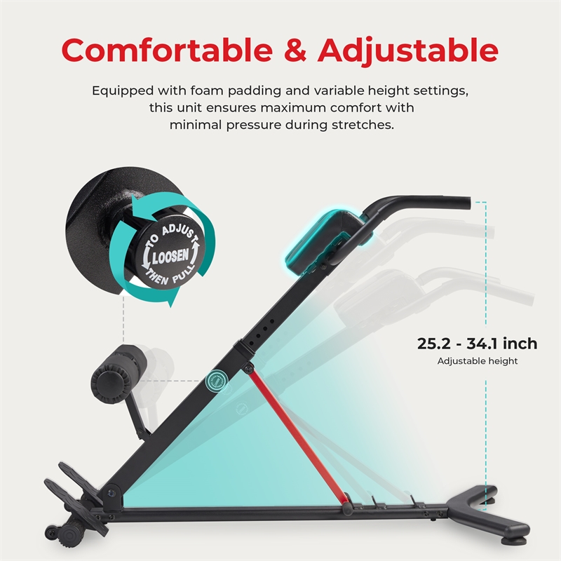 Sunny Health & Fitness Hyperextension Roman Chair w/ Dip Station in Black
