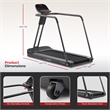 Sunny Health & Fitness Running Treadmill with Handrails in Grey/Black