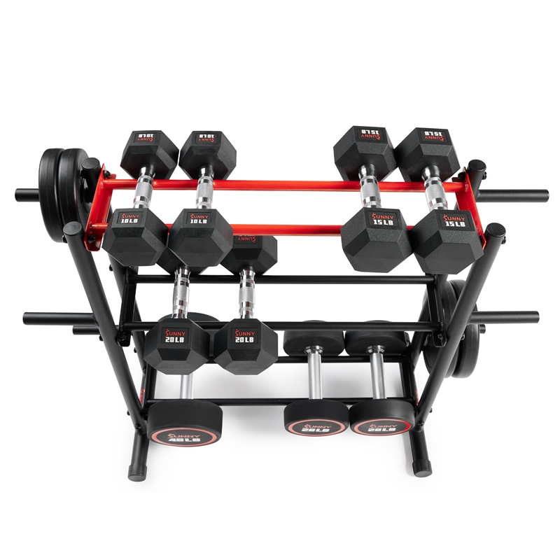 Sunny Health & Fitness Multi-Weight Storage Rack Stand in Black