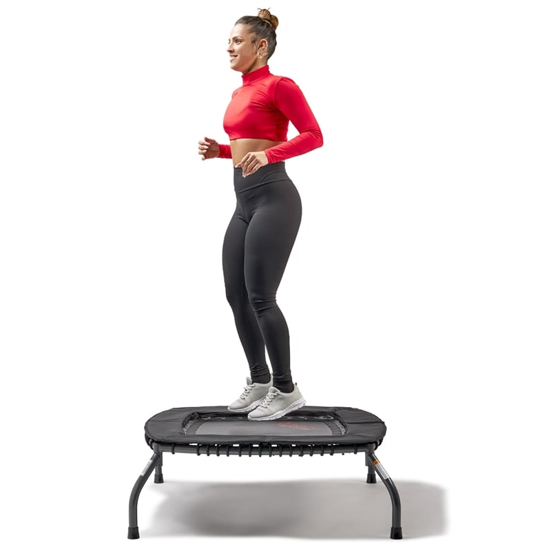 Sunny Health & Fitness 36