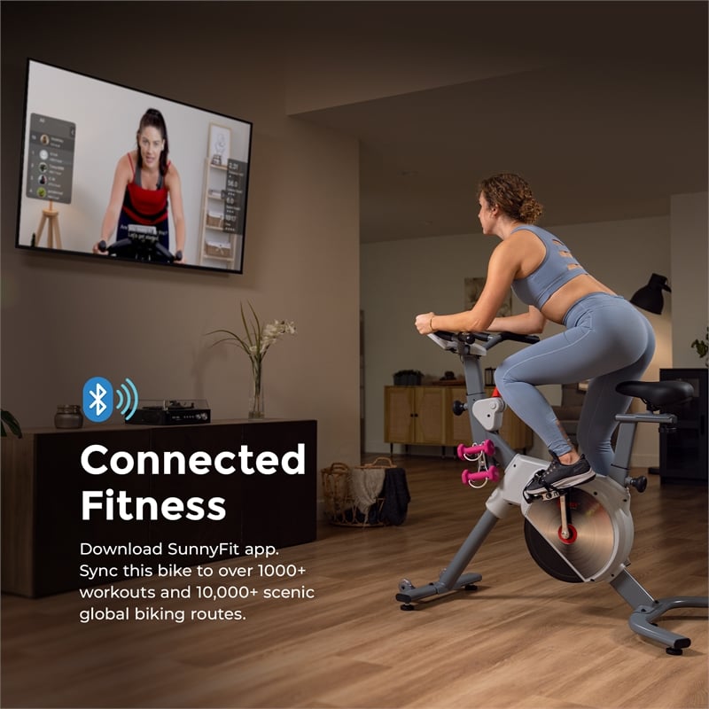 Sunny Health & Fitness Prime Mag Belt Drive Indoor Bike 2-Stage Trans in Gray
