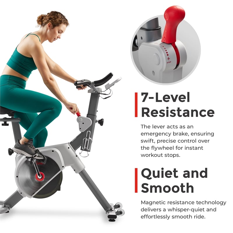 Sunny Health & Fitness Prime Mag Belt Drive Indoor Bike 2-Stage Trans in Gray