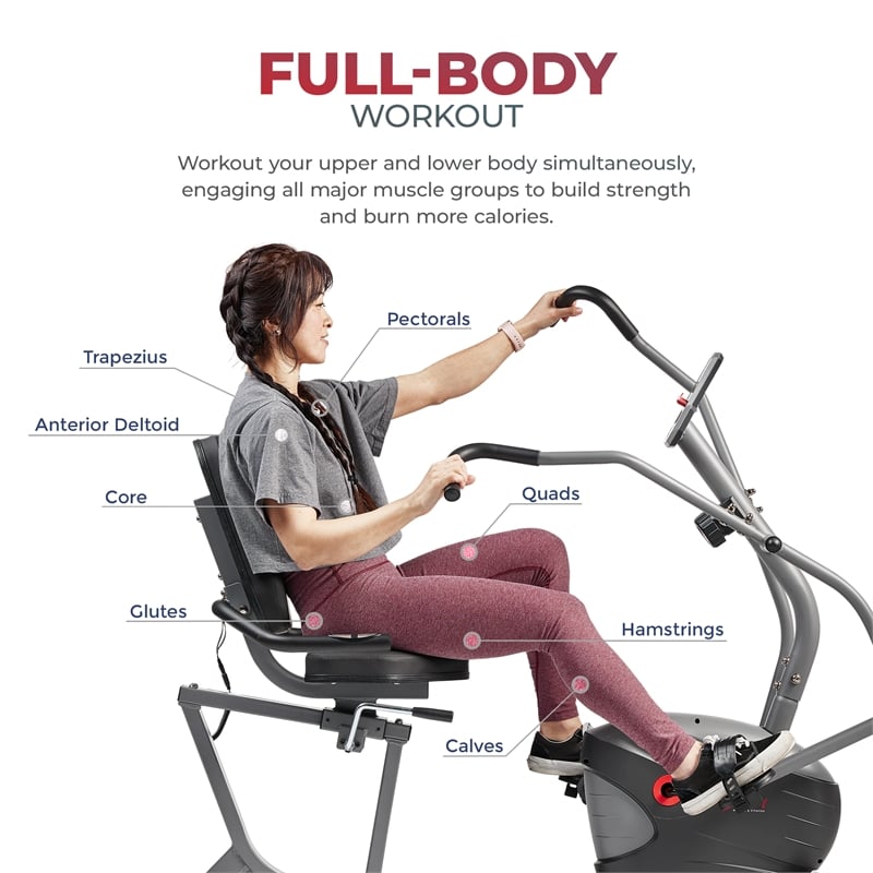Sunny Health & Fitness Performance Interactive Recumb Bike in Gray