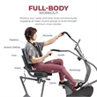 Sunny Health & Fitness Performance Interactive Recumb Bike in Gray