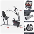 Sunny Health & Fitness Performance Interactive Recumb Bike in Gray