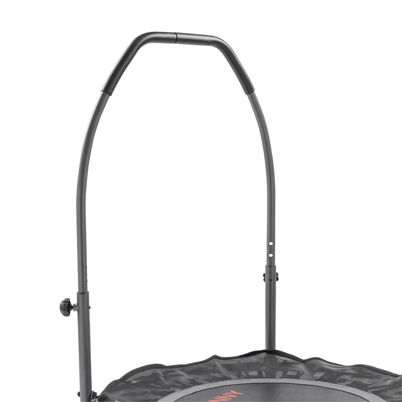 Sunny Health & Fitness 36