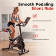 Sunny Health & Fitness PACE 300 Smart Mag Cycling Bike in Gray