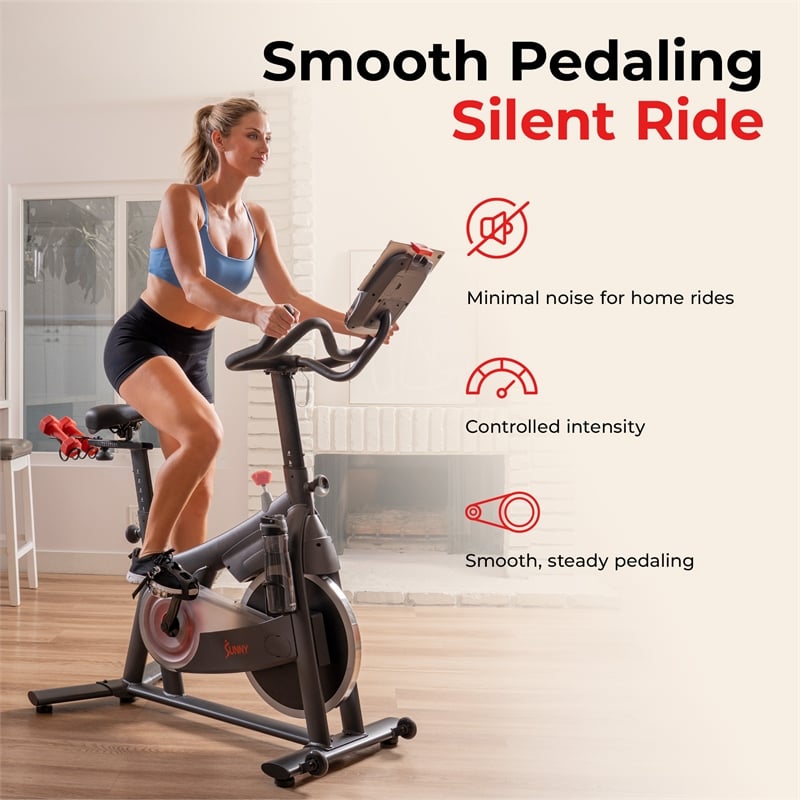 Sunny Health & Fitness PACE 300 Smart Mag Cycling Bike in Gray