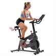 Sunny Health & Fitness PACE 300 Smart Mag Cycling Bike in Gray