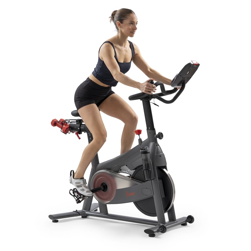 Sunny Health & Fitness Excel 500 Smart Mag Cycling Bike in Gray