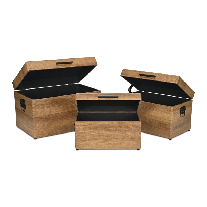 Sable Set of 3 Trunks with Black Handles - Brown