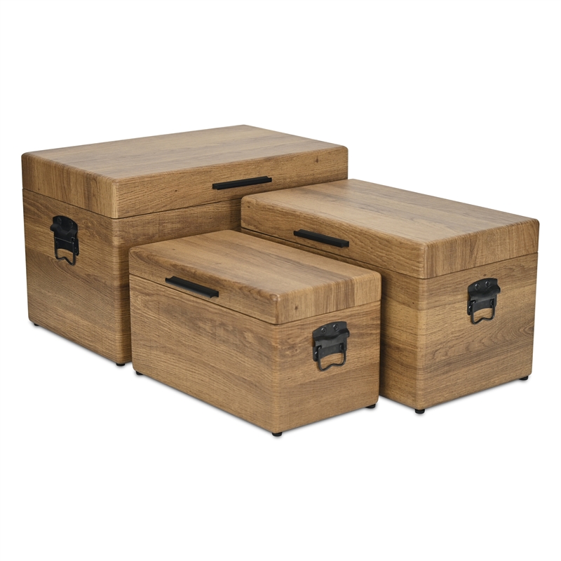 Sable Set of 3 Trunks with Black Handles - Brown