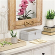 Fidela Set of 2 Silver Vinyl Boxes