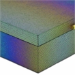 Nimue Seascale Pattern Iridescent Box Set with Gold Hardware - Rainbow