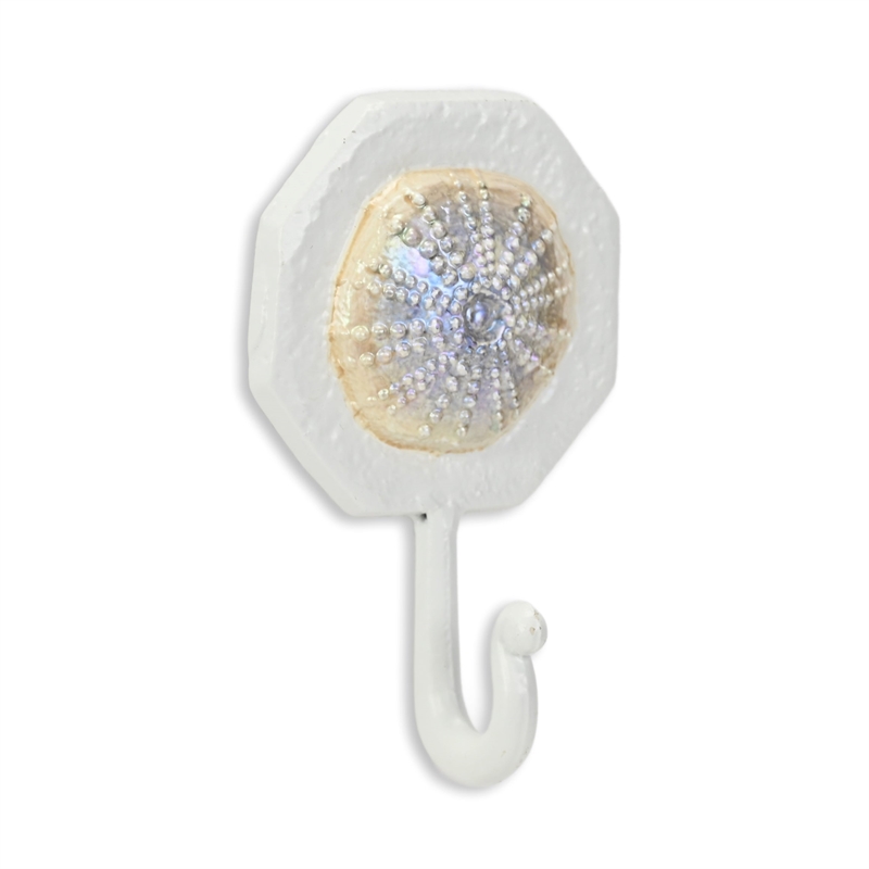 Solva Coastal Colored Sand Dollar Cast Iron Wall Hook