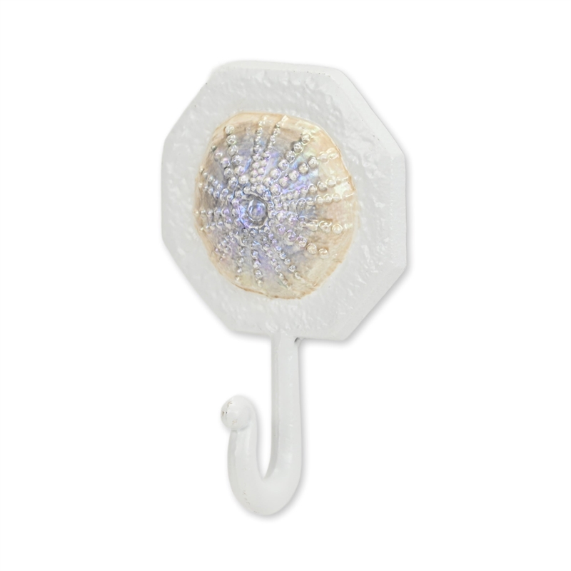 Solva Coastal Colored Sand Dollar Cast Iron Wall Hook