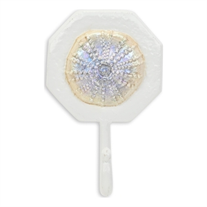 Solva Coastal Colored Sand Dollar Cast Iron Wall Hook