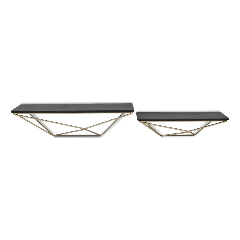 Everly Set of 2 Modern Floating Shelves - Black