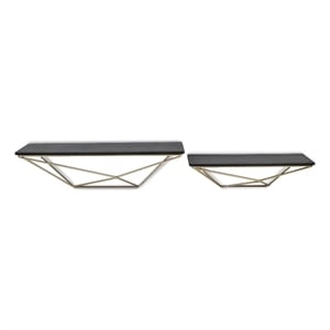 Everly Set of 2 Modern Floating Shelves - Black